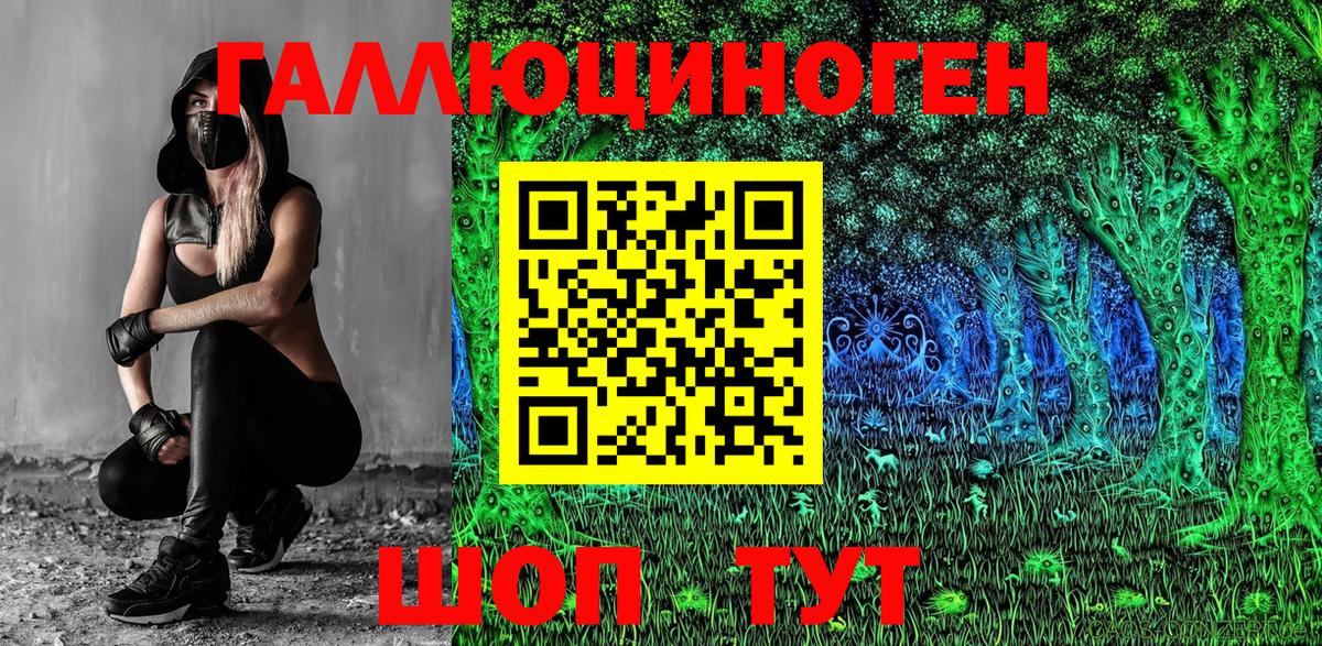 Псилоцибиновые грибы Cubensis  дарнет шоп  Галлюциногенные грибы Psilocybe  Хасавюрт  Вход с VPN 