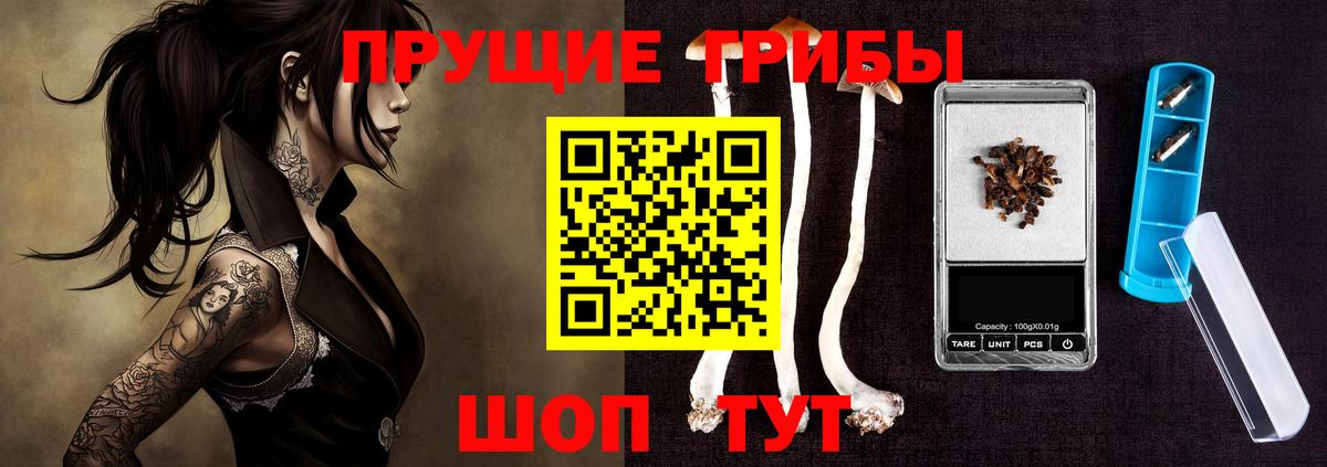Галлюциногенные грибы GOLDEN TEACHER Хасавюрт